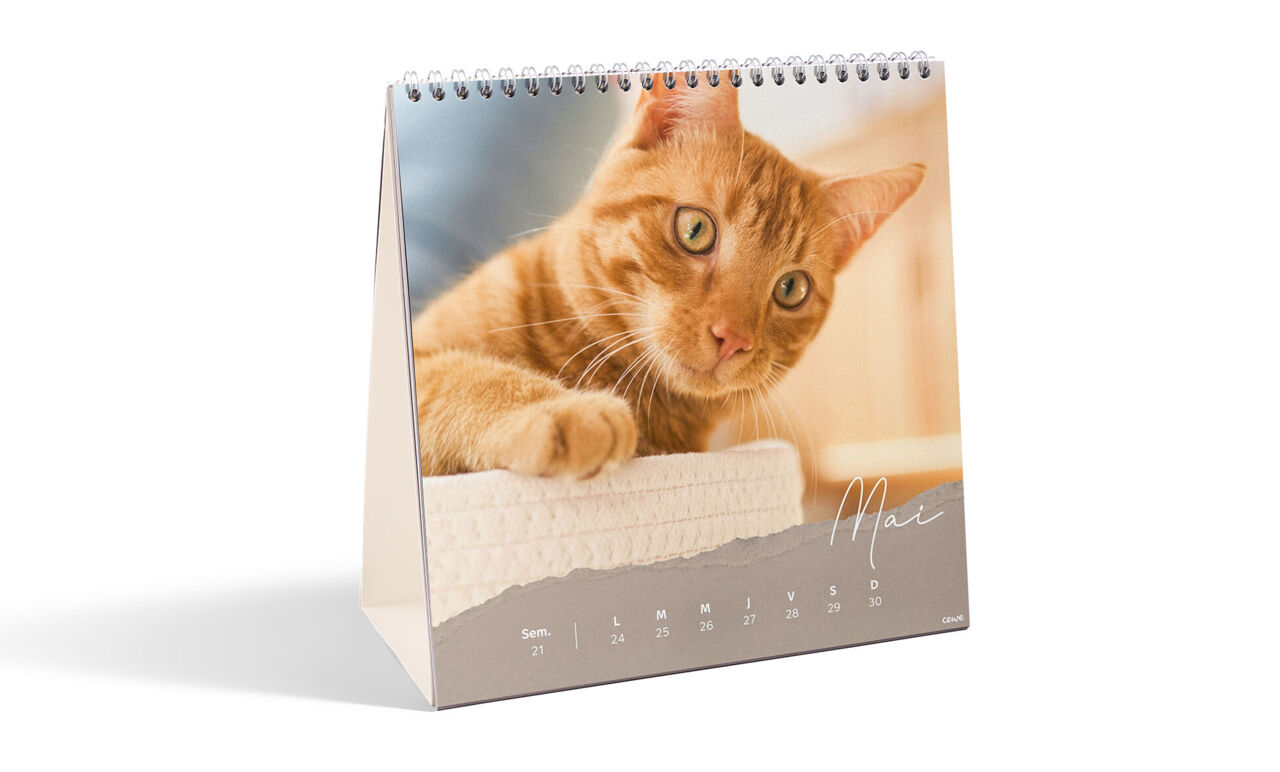 Calendrier de bureau carré;